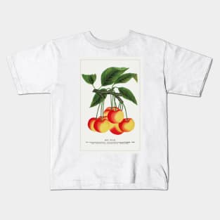 Gov Wood Cherry Lithograph (1900) Kids T-Shirt